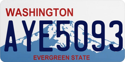 WA license plate AYE5093