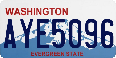 WA license plate AYE5096