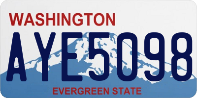 WA license plate AYE5098