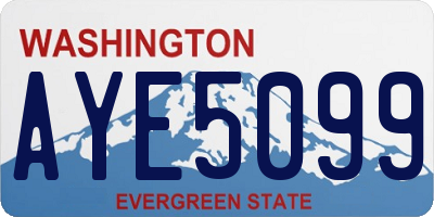 WA license plate AYE5099