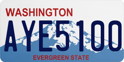 WA license plate AYE5100