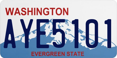 WA license plate AYE5101