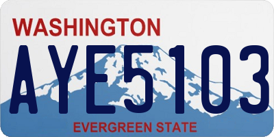 WA license plate AYE5103