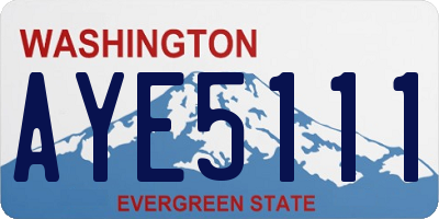 WA license plate AYE5111