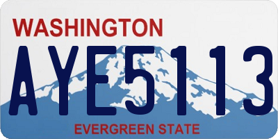 WA license plate AYE5113