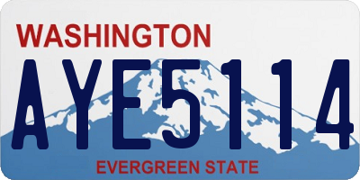 WA license plate AYE5114