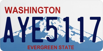 WA license plate AYE5117