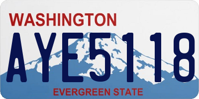 WA license plate AYE5118