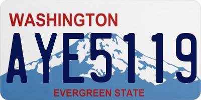 WA license plate AYE5119