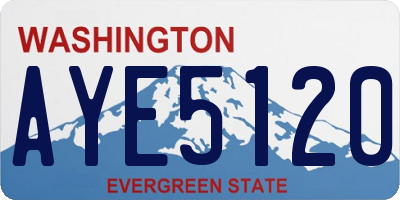 WA license plate AYE5120