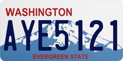 WA license plate AYE5121