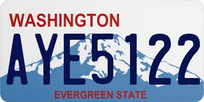 WA license plate AYE5122