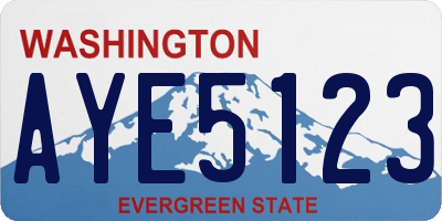 WA license plate AYE5123