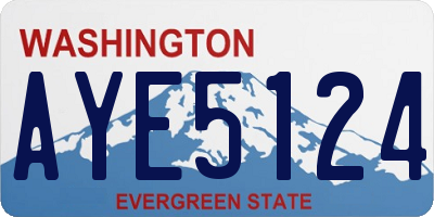 WA license plate AYE5124