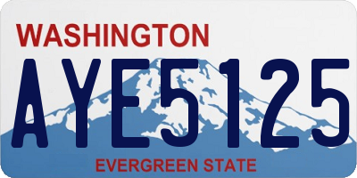WA license plate AYE5125