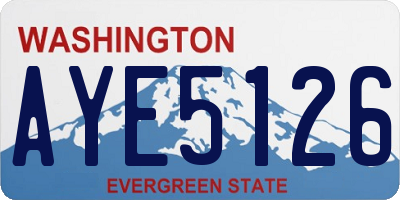 WA license plate AYE5126