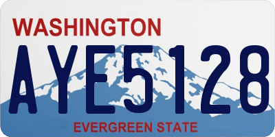 WA license plate AYE5128