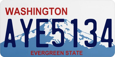 WA license plate AYE5134