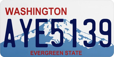 WA license plate AYE5139