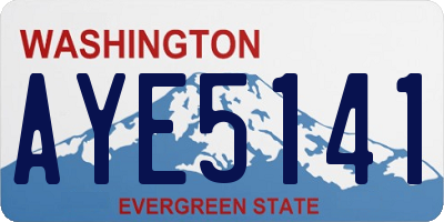 WA license plate AYE5141