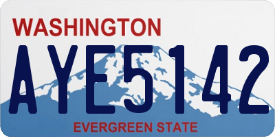 WA license plate AYE5142