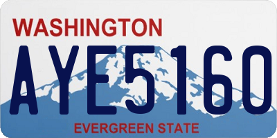 WA license plate AYE5160