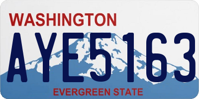 WA license plate AYE5163