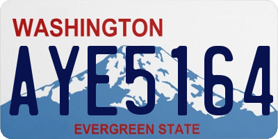 WA license plate AYE5164