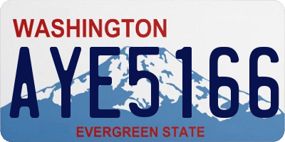 WA license plate AYE5166