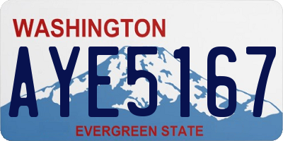 WA license plate AYE5167