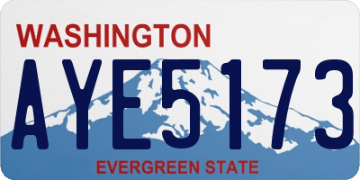 WA license plate AYE5173