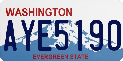 WA license plate AYE5190