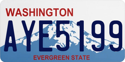WA license plate AYE5199