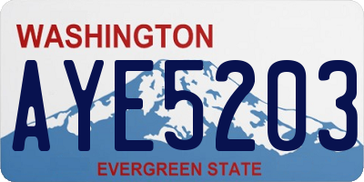 WA license plate AYE5203