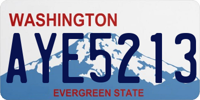 WA license plate AYE5213