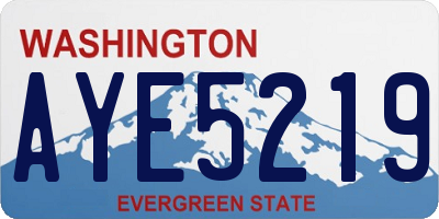WA license plate AYE5219