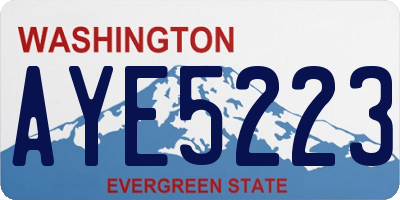 WA license plate AYE5223