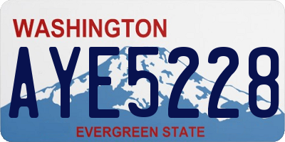 WA license plate AYE5228