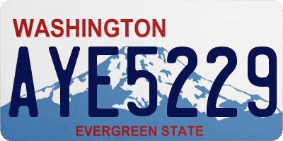 WA license plate AYE5229