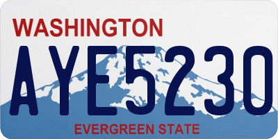WA license plate AYE5230