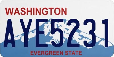 WA license plate AYE5231