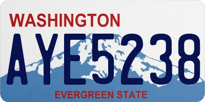 WA license plate AYE5238