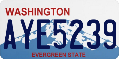 WA license plate AYE5239