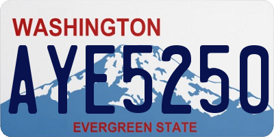WA license plate AYE5250