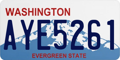 WA license plate AYE5261