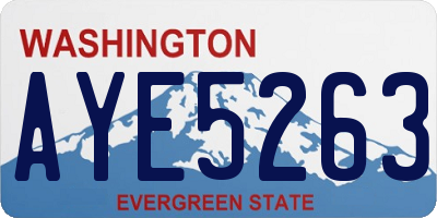 WA license plate AYE5263
