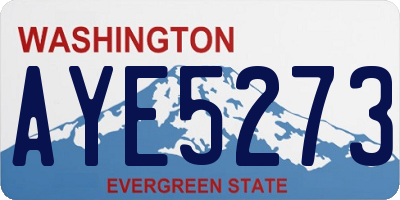 WA license plate AYE5273