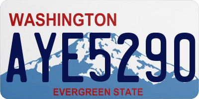 WA license plate AYE5290