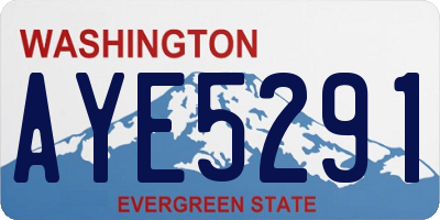 WA license plate AYE5291