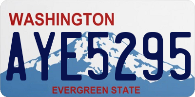 WA license plate AYE5295